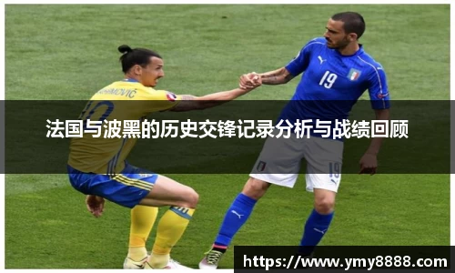 法国与波黑的历史交锋记录分析与战绩回顾
